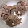 多小貝新鮮半只羊冷凍內(nèi)蒙古羔羊肉10斤羊排羊蝎子羊腿肉分割發(fā)貨批發(fā) 【10斤半只羊】內(nèi)蒙古散養(yǎng)羔羊肉 曬單實(shí)拍圖