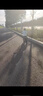 鳳凰（Phoenix）兒童自行車(chē)山地車(chē)男女學(xué)生腳踏車(chē)6-12歲童車(chē) 霸道 黑紅色 18寸 曬單實(shí)拍圖