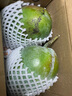 京鮮生 攀枝花凱特芒果 凈重4.5斤 帶箱5斤 單果400g+ 生鮮水果源頭直發(fā) 曬單實(shí)拍圖