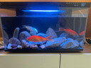 米家（MIJIA）智能生態(tài)魚缸定時(shí)喂食智能魚缸+畫法幾何增氧泵套裝 曬單實(shí)拍圖