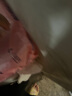 舒比奇（Suitsky）維E乳霜鮮潤敏感肌紙尿褲L38片(9-14kg)大號嬰兒尿不濕柔軟透氣 曬單實拍圖