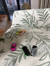 多美卡TOMY合金小汽車(chē)模型兒童玩具男禮物108號阿斯頓馬丁跑車(chē)944140 曬單實(shí)拍圖