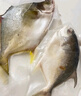 翔泰海南二去金鯧魚(yú)700g/2條  去鰓去內臟燒烤生鮮魚(yú)類(lèi)  海鮮水產(chǎn)中秋 曬單實(shí)拍圖