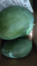 京鮮生 攀枝花凱特芒果 凈重4.5斤 帶箱5斤 單果400g+ 生鮮水果源頭直發(fā) 曬單實(shí)拍圖
