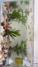 派樂特 魚缸造景石頭水族箱龜缸多肉底砂雨花石熱敷鵝卵石子2kg 曬單實拍圖