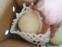 京鮮生 玉菇甜瓜 凈重4.5-5.5斤 2-3粒  源頭直發(fā) 曬單實拍圖