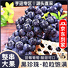 鮮級佳 【順豐速運】夏黑葡萄藍莓葡萄脆甜無籽現(xiàn)摘孕婦水果巨峰葡萄 5斤【精選果】爽吃裝 A+級精選果【酸甜可口】 曬單實拍圖