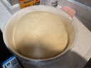 Cookmii 德國(guó)廚師機(jī)6.2升家用商用和面揉面發(fā)酵一體機(jī) 可和4斤面團(tuán)多功能全自動(dòng)打蛋機(jī)奶油機(jī)絞肉機(jī)攪面機(jī) 旗艦版6.2L【直流電機(jī)+智能定時(shí)發(fā)酵】防黑粉 曬單實(shí)拍圖