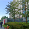 BRUNO五代豆漿機破壁機可視窗口家用小型全自動(dòng)免煮免濾榨汁養生壺料理早餐白【年度爆款】好評率99% 曬單實(shí)拍圖