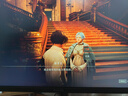 STEAM卡牌商店模擬器steam激活碼入庫(kù) tcg card shop simulator PC游戲 匹諾曹的謊言 標(biāo)準(zhǔn)版激活碼-游戲本體 曬單實(shí)拍圖