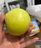 正宗王林蘋(píng)果新鮮青森蘋(píng)果引進(jìn)品種雀斑美人孕婦脆甜水果整箱 2斤 嚴選果 嘗鮮裝無(wú)禮盒 曬單實(shí)拍圖