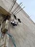 海威曼5G太陽(yáng)能監控攝像頭無(wú)電無(wú)網(wǎng)終身免流量高清20倍變焦三畫(huà)面戶(hù)外360度無(wú)死角帶夜視全景全彩追蹤 【太陽(yáng)能5G頂配】終身流量+20倍變焦+20W雙板 曬單實(shí)拍圖