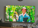 海信電視65E3NH Pro 65英寸 264Hz高刷 高色域 Hi-Fi音響 大內(nèi)存 國(guó)家補(bǔ)貼20%以舊換新65E3Q升級(jí)款 曬單實(shí)拍圖