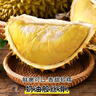 果躍霖金枕榴蓮泰國(guó)進(jìn)口新鮮果帶殼巴掌金枕頭應(yīng)季水果批發(fā)整箱 5-6斤|包4-6房【報(bào)恩榴蓮】1-2個(gè)果 曬單實(shí)拍圖