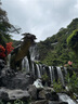 城南堡花【順豐空運】太行山陽(yáng)光玫瑰晴王葡萄新鮮水果無(wú)籽葡萄提子 大果凈重2斤±100g單果【10-15g】 曬單實(shí)拍圖