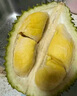 京東超市貓山王榴蓮馬來(lái)西亞D197冷凍3-3.5斤保4房進(jìn)口水果七夕情人節(jié)禮物 曬單實(shí)拍圖
