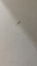 超威殺蟲劑噴霧基孔肯雅熱跳蚤蒼蠅臭蟲飛蟲蟑螂藥螞蟻藥茉莉500ml*2 曬單實拍圖