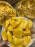 禧友鮮 海南菠蘿蜜整個(gè) 黃肉干苞 波羅密 大樹木菠蘿 新鮮水果 順豐可選 20-25斤（精選家庭裝大果） 曬單實(shí)拍圖