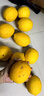 正宗廣東香水黃檸檬酸爽多汁黃檸檬當季薄皮多汁新鮮奶茶專(zhuān)用水果 檸檬帶箱2斤單果50g+ 曬單實(shí)拍圖