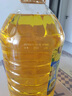 金龍魚 食用油 物理壓榨葵花籽油6.18L 曬單實拍圖