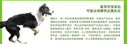 有棵樹(shù)秋衣秋褲男純棉新疆棉保暖內衣男抗菌打底棉毛衫女秋冬情侶套裝 曬單實(shí)拍圖