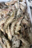 鮮京采 厄瓜多爾白蝦 凈重3斤/盒 特大號(hào)20-30規(guī)格   30-45只/盒 曬單實(shí)拍圖