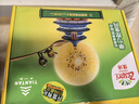 佳沛（zespri）新西蘭  陽(yáng)光金果10粒巨大果單果約144-175g 中秋水果禮盒 獼猴桃 曬單實(shí)拍圖