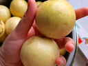 京鮮生廣西欽蜜9號黃金百香果3斤凈重45-60g /24-36個生鮮水果 源頭直發(fā) 曬單實拍圖