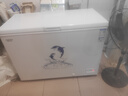 澳柯瑪（AUCMA）308升低霜臥式商用家用冰柜 商用大容量冷藏柜大冷凍柜 家用冰箱雪糕柜大冷柜一級能效以舊換新 BC/BD-308HNE【京倉發(fā)貨】 308L 曬單實(shí)拍圖