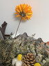 干花花束真花客廳家居室內(nèi)裝飾高級(jí)干花永生花裝飾擺件棉花真花小 米白玉蘭花+薔薇+棉花花束 干花包 曬單實(shí)拍圖