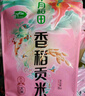 十月稻田 香稻貢米 東北大米 10斤（香米 粳米 5公斤/十斤） 曬單實拍圖