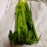 京鮮生山東新鮮大西芹凈重4.5斤榨汁現(xiàn)挖芹菜鮮嫩蔬菜 去半葉源頭直發(fā) 曬單實(shí)拍圖