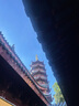 青島啤酒博物館桃園結(jié)義12度5L*1桶經(jīng)典黃啤酒高濃麥汁鮮啤精釀聚會送禮 曬單實拍圖