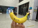 露茉【國(guó)家補(bǔ)貼】半自動(dòng)研磨一體機(jī)咖啡機(jī)SOLAR 意式咖啡機(jī) 家用 磨豆機(jī)奶泡機(jī)研磨一體 CMA01 曬單實(shí)拍圖