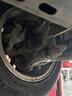 固特異（Goodyear）汽車(chē)輪胎 195/65R15 91V EF1 SPORT鷹馳F1酷跑 卡羅拉/朗逸/寶來(lái) 曬單實(shí)拍圖