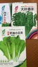 【種子大全】12種蔬菜種子四季菜種子陽臺盆栽綠植庭院易種春秋 香菜+菠菜+生菜+小白菜+小蔥 曬單實拍圖