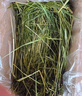 喜帥 精品烘干提摩西草500g 提草荷蘭豬龍貓兔子磨牙牧草飼料兔草主糧 曬單實拍圖