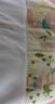 babycare嬰兒隔汗巾吸汗巾兒童3-6歲純棉口水巾跳舞熊24*42cm（3條裝） 曬單實(shí)拍圖