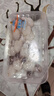 墨魚仔 200g 曬單實拍圖