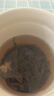 尋西湖茶葉茉莉花茶2025新茶特級(jí)茉莉飄雪七窨一提濃香型嫩芽罐裝100g 曬單實(shí)拍圖
