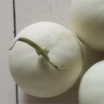 京鮮生 玉菇甜瓜 凈重4.5-5.5斤 2-3粒  源頭直發(fā) 曬單實(shí)拍圖