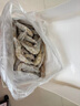 北海灣 蝦 青島大蝦鮮活冷凍基圍蝦 蝦類 海鮮水產(chǎn)生鮮白蝦青蝦海蝦對蝦 鹽凍大蝦 3.6斤(凈重)  15-17cm【單只凍 無冰衣】 曬單實拍圖