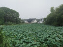 京東京造除菌超人洗衣液6斤 99.9%除菌除螨 深層去污持久留香氛洗衣精華 曬單實(shí)拍圖