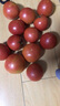 水果沙瓤西紅柿多汁純天然農家種植3斤~4.5斤現摘現發(fā)番茄整箱 沙瓤西紅柿3斤 曬單實(shí)拍圖