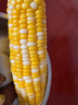 京鮮生云南水果玉米5斤 鮮甜玉米棒 甜脆多汁 新鮮蔬菜 源頭直發(fā)包郵 曬單實(shí)拍圖
