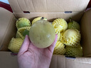 京鮮生 欽蜜9號黃金百香果 5斤單果90g+ /20-30個(gè) 生鮮水果 源頭直發(fā) 曬單實(shí)拍圖