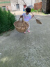 伊利金領(lǐng)冠珍護(hù)【三代OPO好吸收】幼兒A2奶粉3段(1-3歲)900g 曬單實(shí)拍圖
