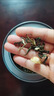 茶葉胖東來超市茶葉店 胖東來茉莉花茶特級(jí)2025新茶濃香型送禮茶 【5A特級(jí)茉莉飄雪】4罐1000g  單獨(dú)聯(lián)系客服送禮盒裝 不香包退官方正品茉莉超性價(jià)比 曬單實(shí)拍圖