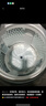小天鵝（LittleSwan）波輪洗衣機(jī)全自動(dòng) 12公斤大容量 水魔方防纏繞【TB12M09T】家電國(guó)家補(bǔ)貼20%  除菌除螨 一級(jí)能效 曬單實(shí)拍圖