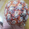 特價(jià)金鉆鳳梨新鮮大果菠蘿整箱水果風(fēng)梨手撕現貨直發(fā)脆甜多汁鳳梨 小果0.8斤-1.2斤4-6個(gè) 凈重4.5斤 曬單實(shí)拍圖